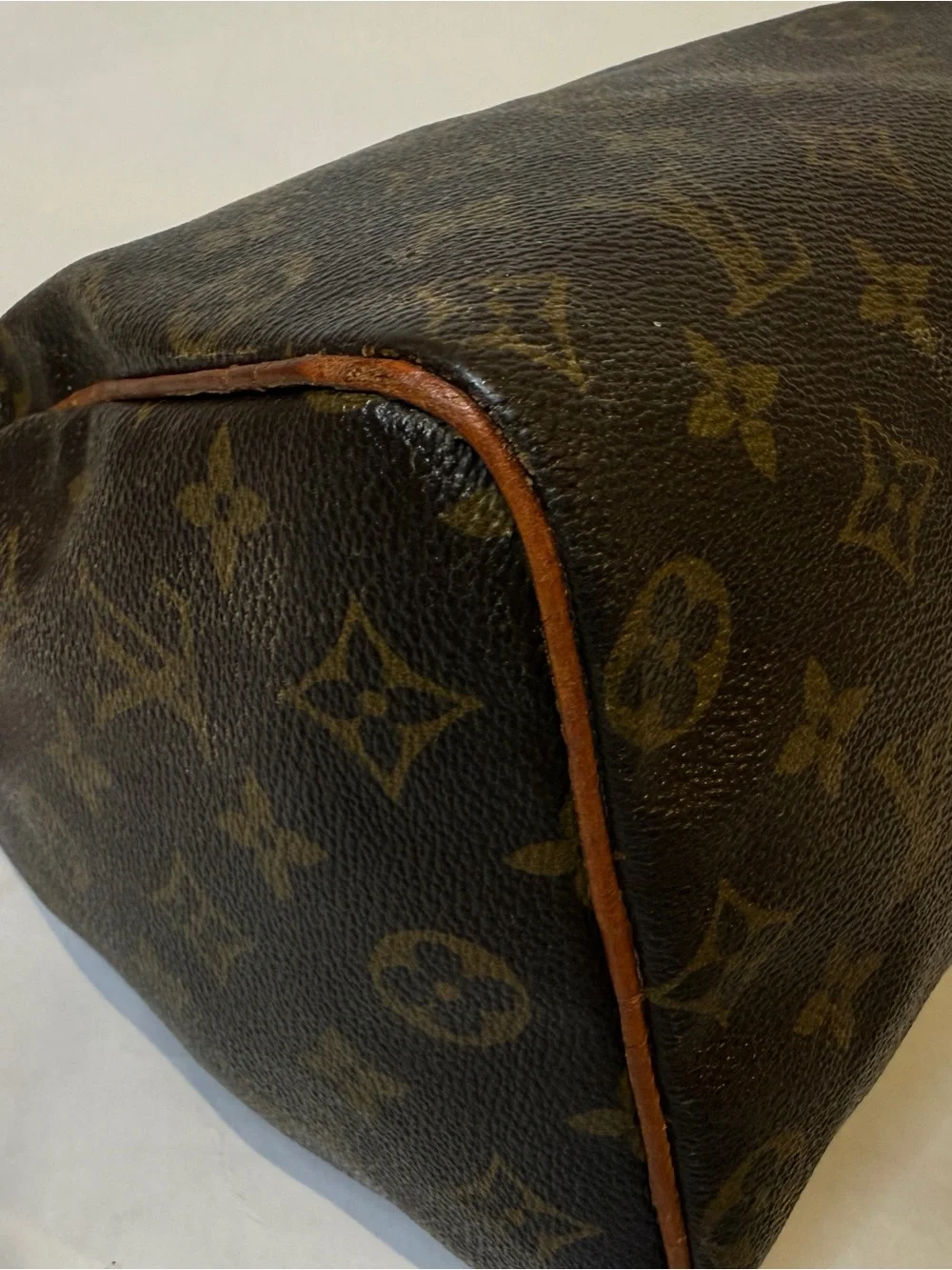 LV SPEEDY 25 (Louis Vuitton)